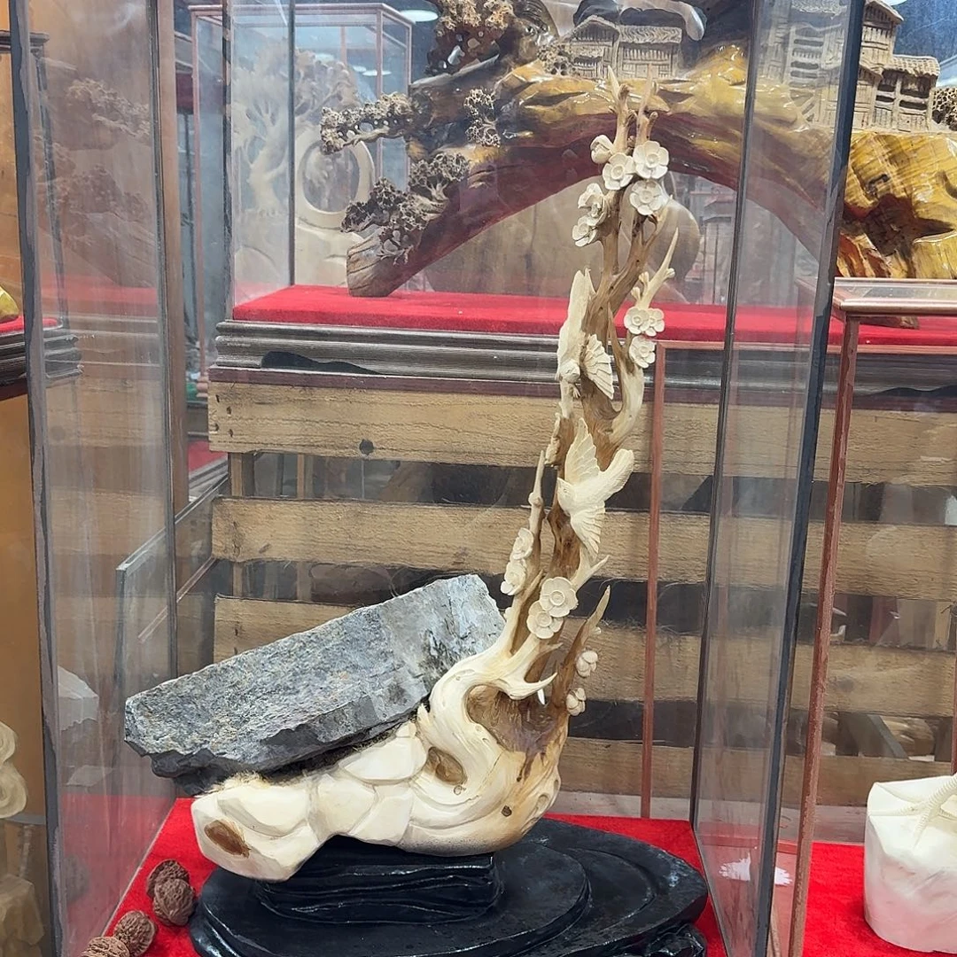 柏木（崖柏）太行崖柏喜上梅梢