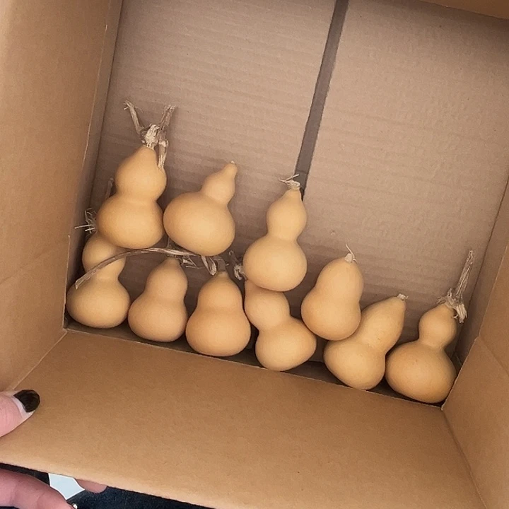 大美葫芦响籽10个漂亮