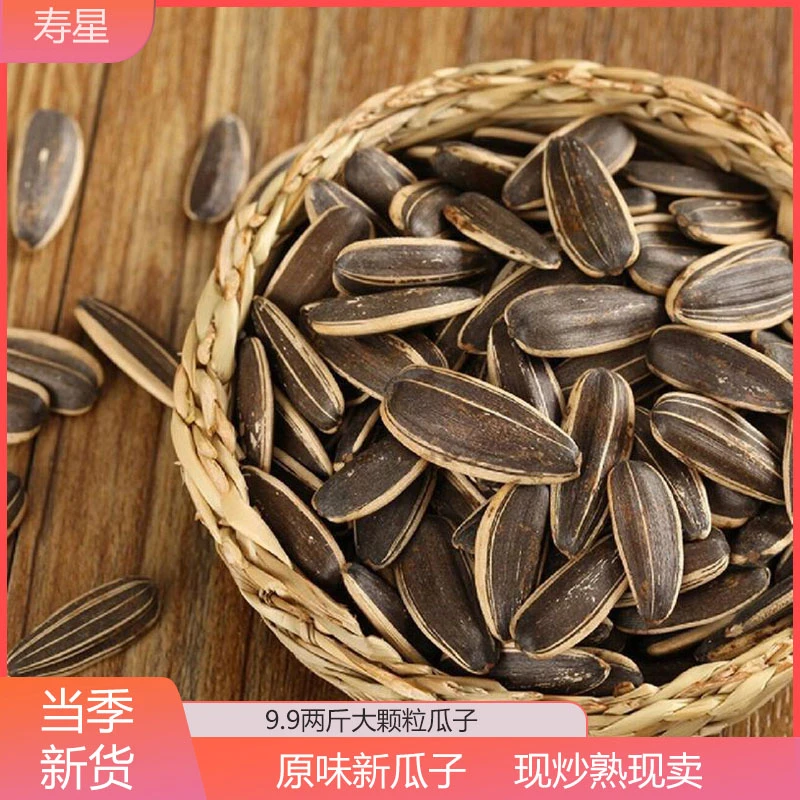 内蒙古大颗粒原味现炒葵花籽追剧美味零食