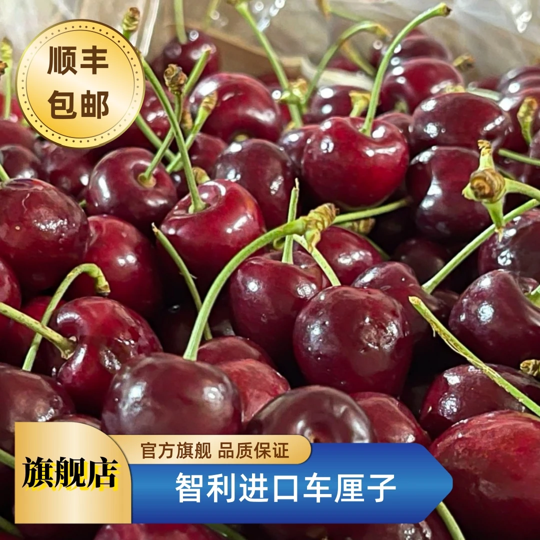 【年货节】3J拉宾斯智利进口车厘子海运5斤原箱年货节 内附果径卡