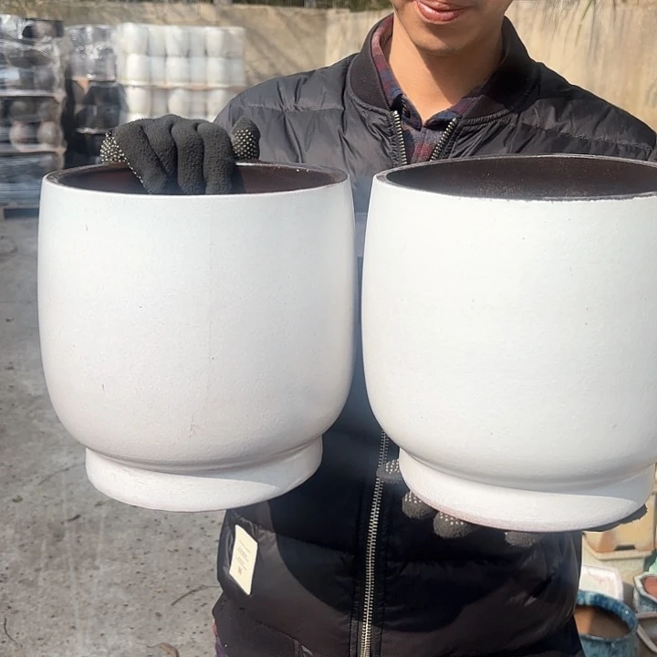 红陶白蛋壳两个口径20高20