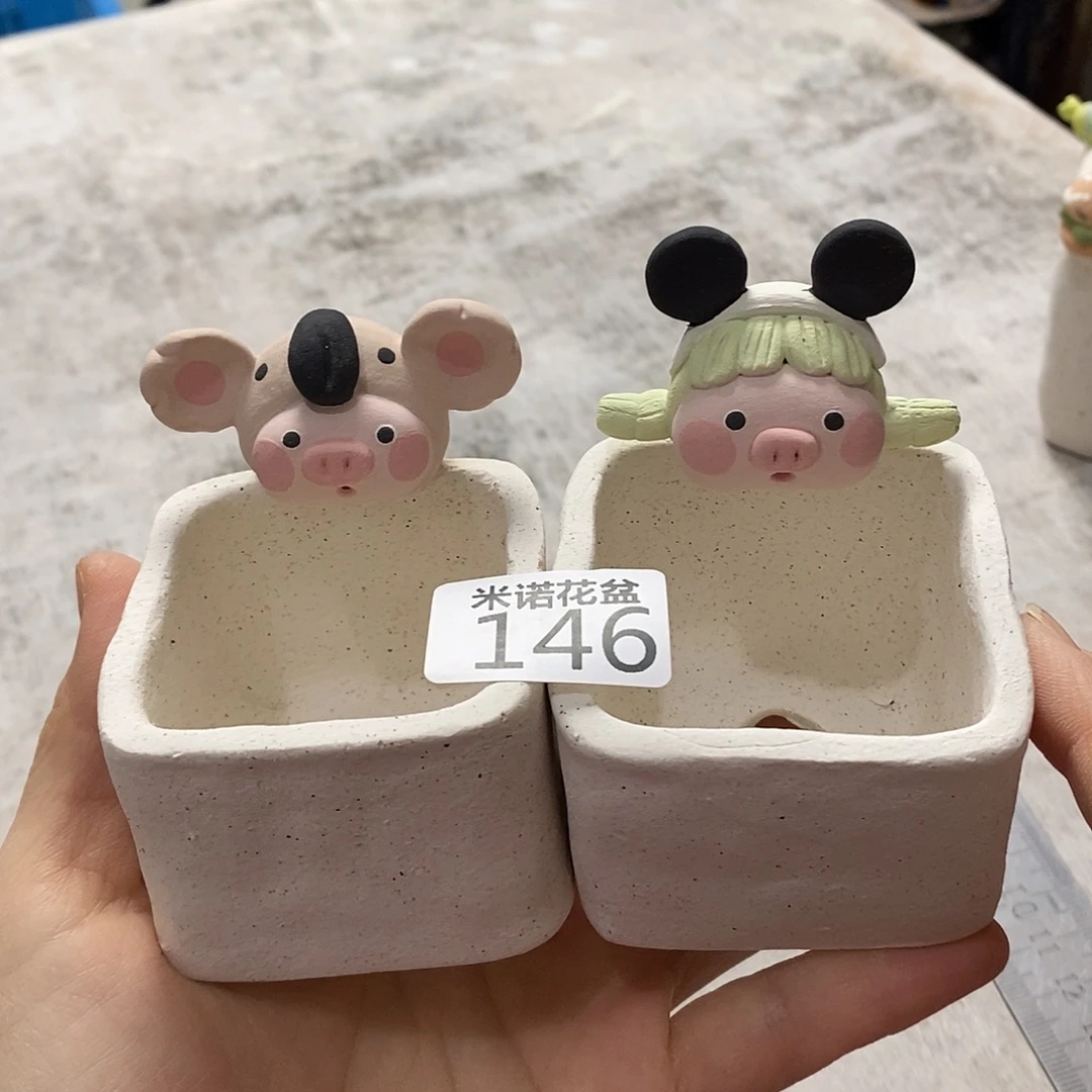 米诺多肉植物花盆146