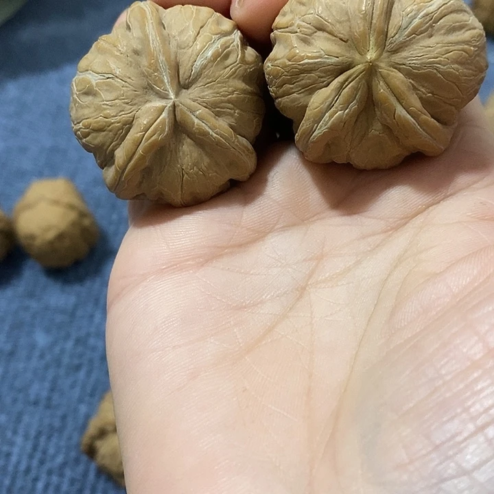 余***军手串文玩核桃元宝
