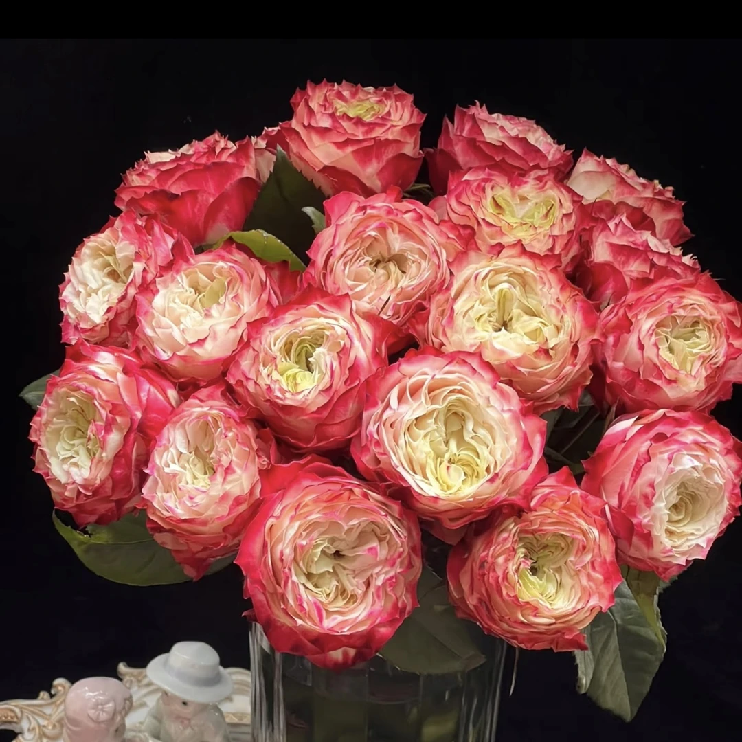 【苹果杰克10支】全场任意两单包邮河南省今天拍明天到