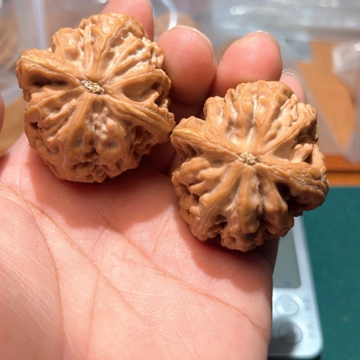 文玩核桃把件用****,文玩核桃手把件红锦鲤
