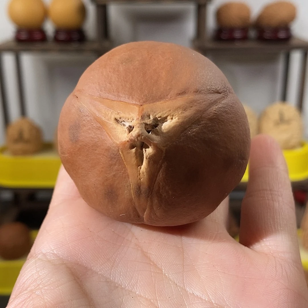 吊坠文玩核桃胡*橄榄单只55瑕不退不换