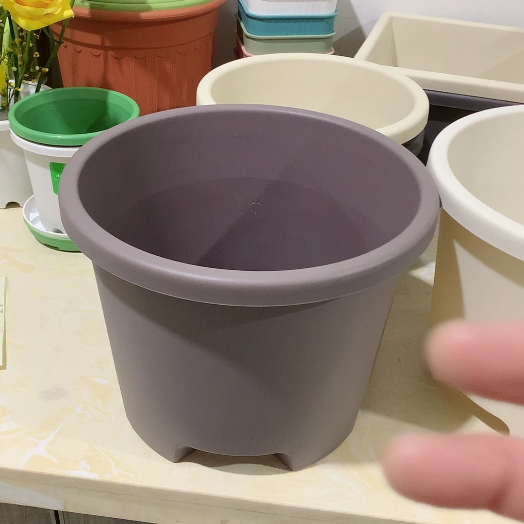 树脂球根口32咖色3个无托