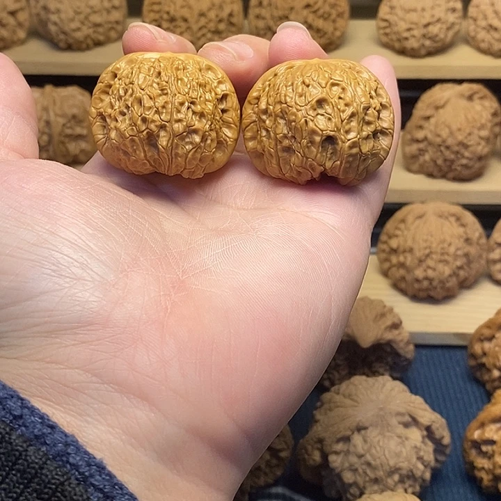 核桃39血麒麟福利核桃