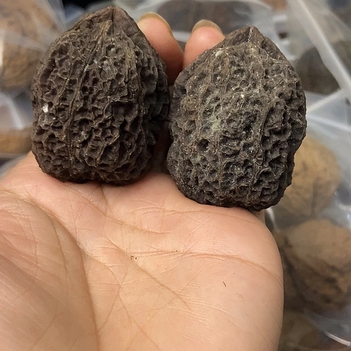 把件文玩核桃云南铁核桃基地22