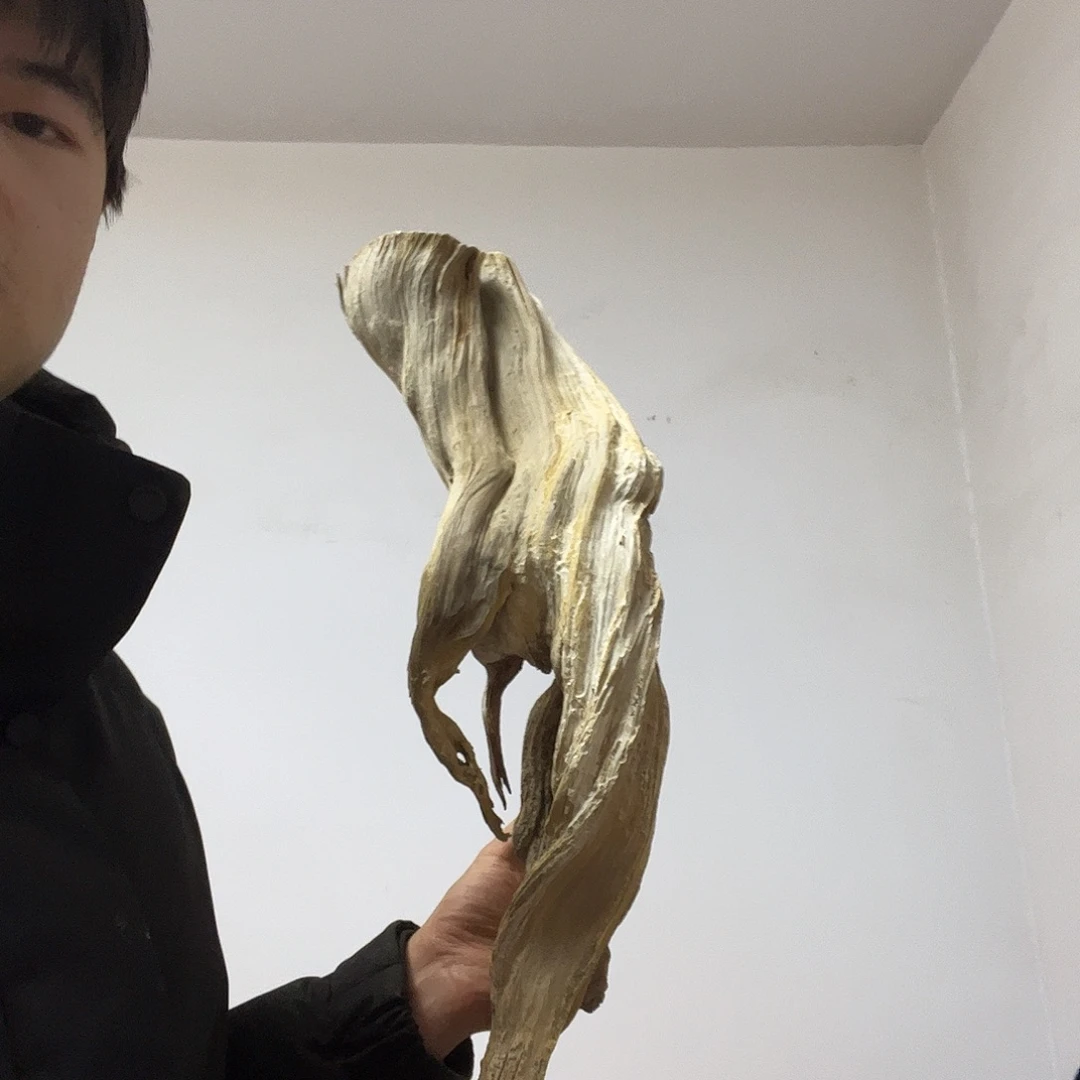 沧***田柏木（崖柏）这个世界上最大限度