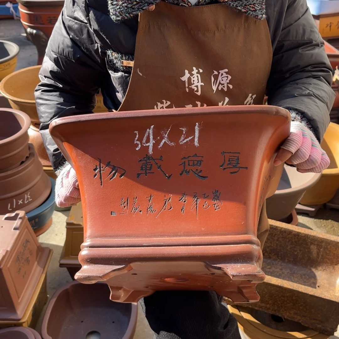 花盆紫砂盆景艺术