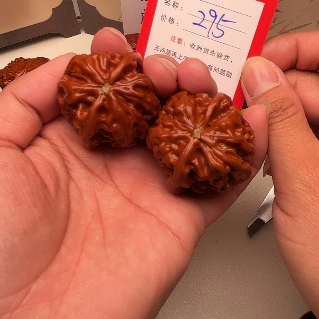 295。39。  野生小众