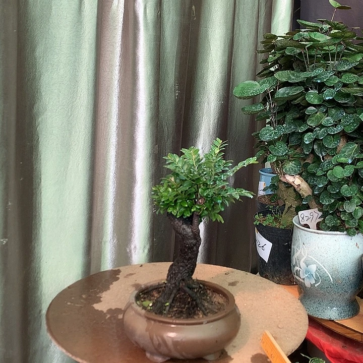 完全开放4888588666