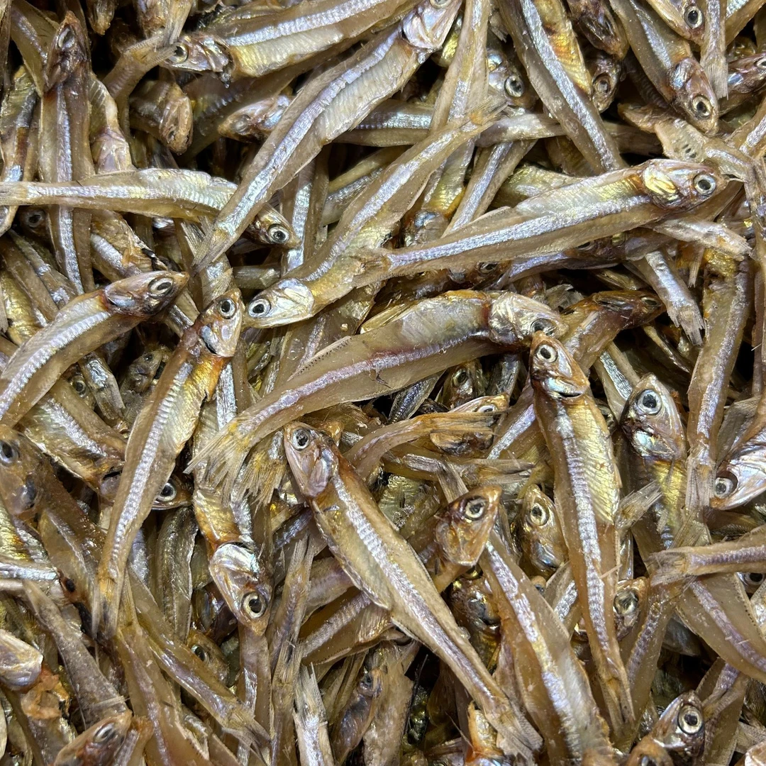 新鲜现晒本港海鱼白帆鱼干公鱼仔小鱼干海产干货