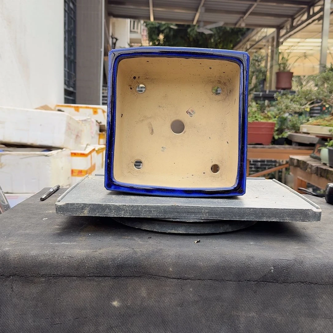 红陶vg g g g g g g g g