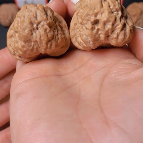 文玩核桃蛤馍头尺37