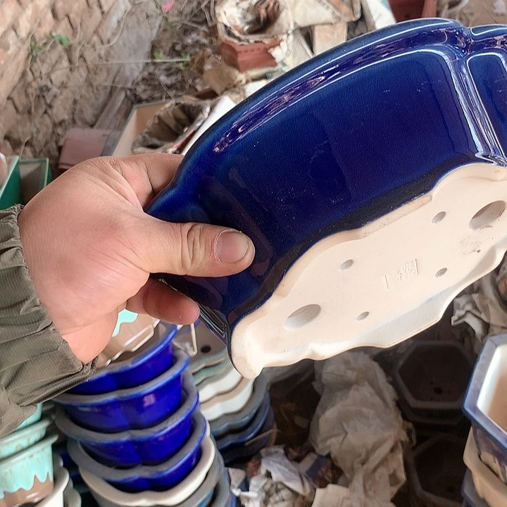 紫砂哈哈真的是太给力太