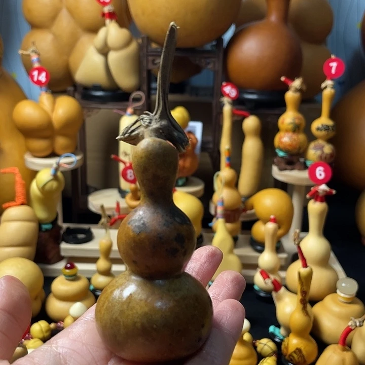 小***家葫芦丝老师哈葫芦鱼虾
