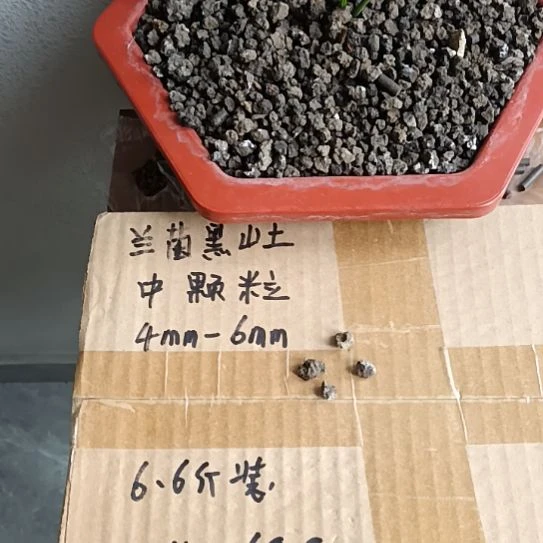 缘***兰兰菌黑山土中颗粒6.6斤