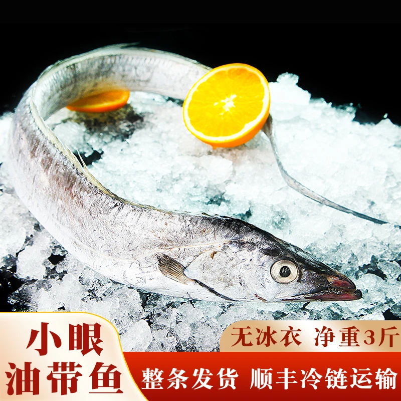 新鲜小眼油带鱼整条鲜活冷冻保鲜海鲜水产鲜货正宗野生油带无腥味带鱼同城送