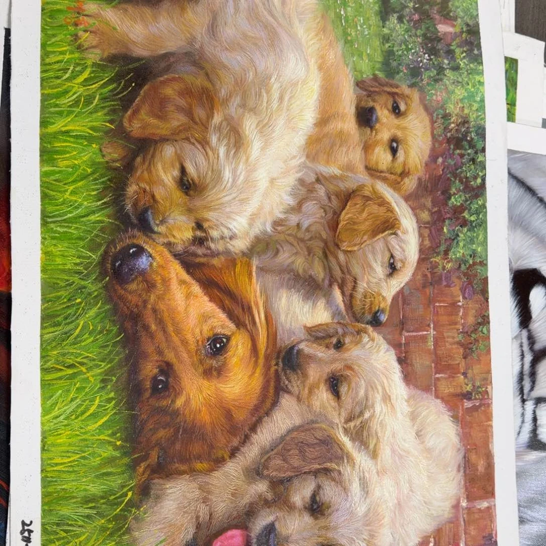 油画你是谁了啊我