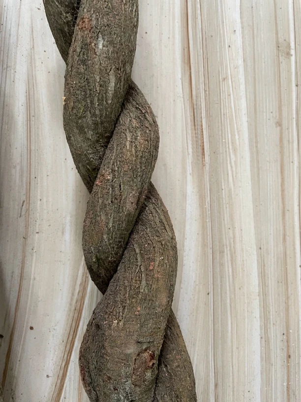 高山木棍，登山杖