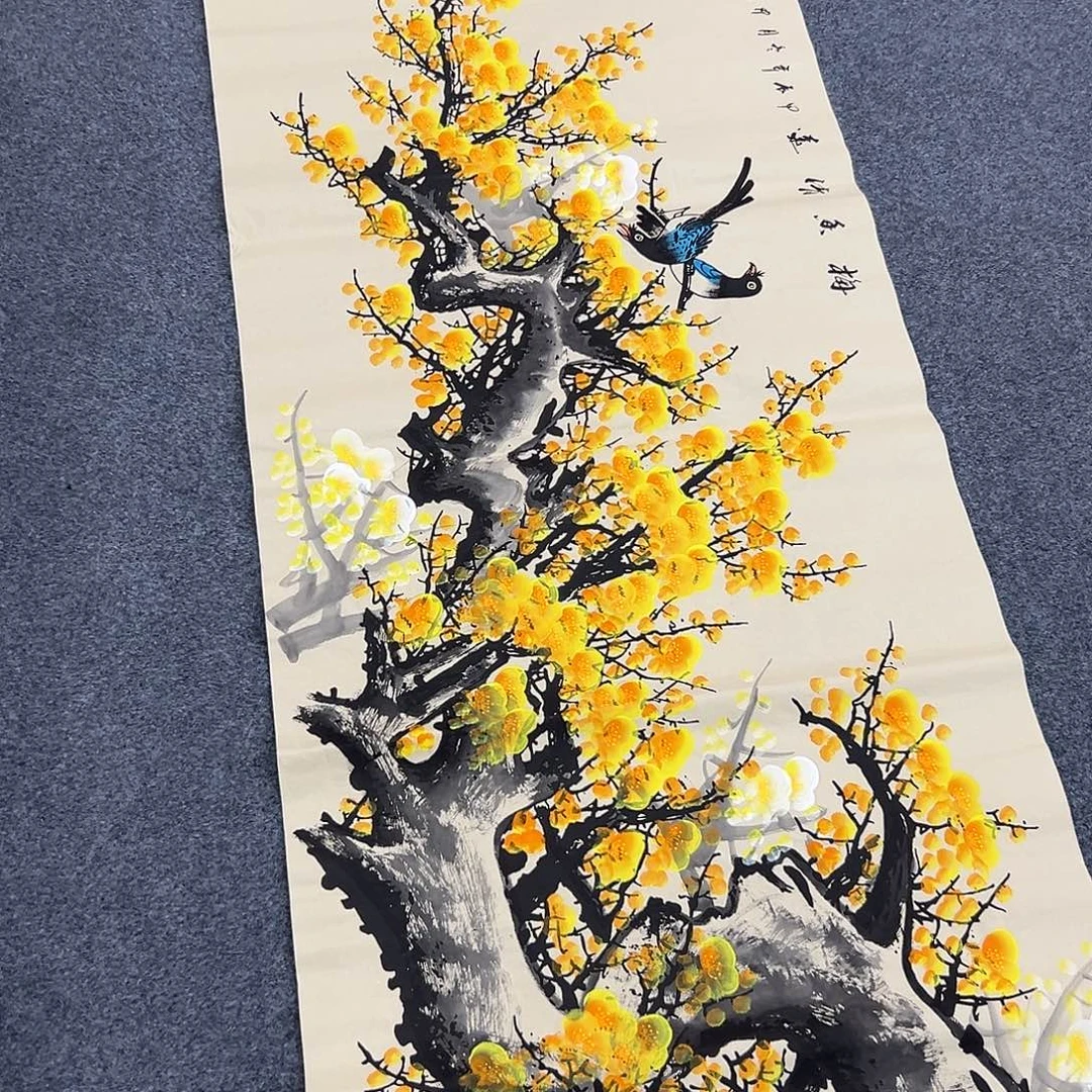 新号开播领福利了