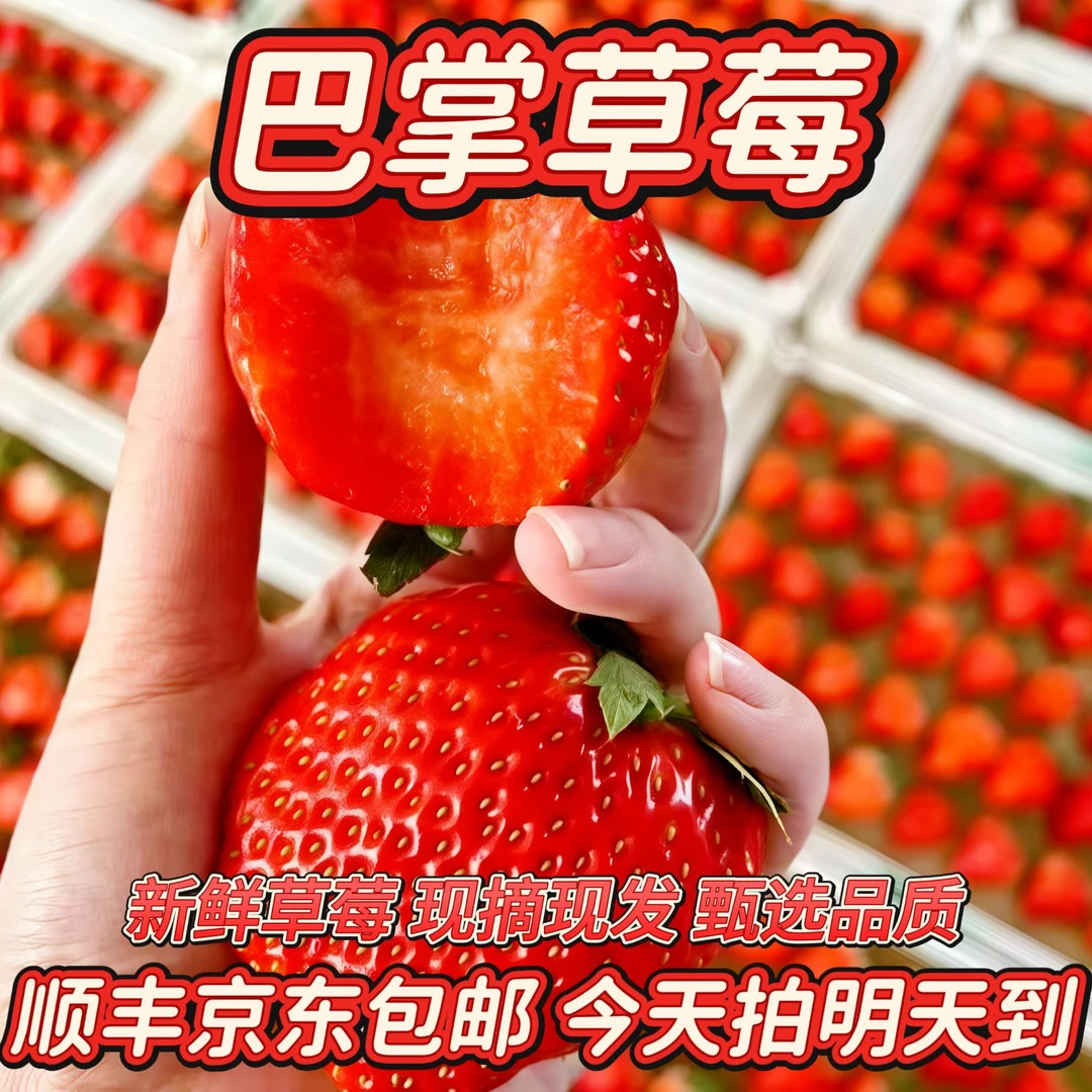 明天到 本地红颜草莓【丑草莓】扁果 顺丰京东包邮 今天拍 明天到 ！