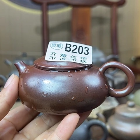 戬谷龙窑柴烧茶壶203