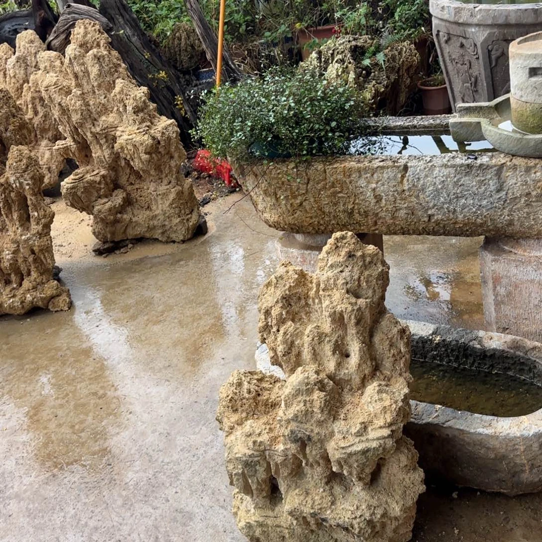 香樟木小号吸水石直播福利