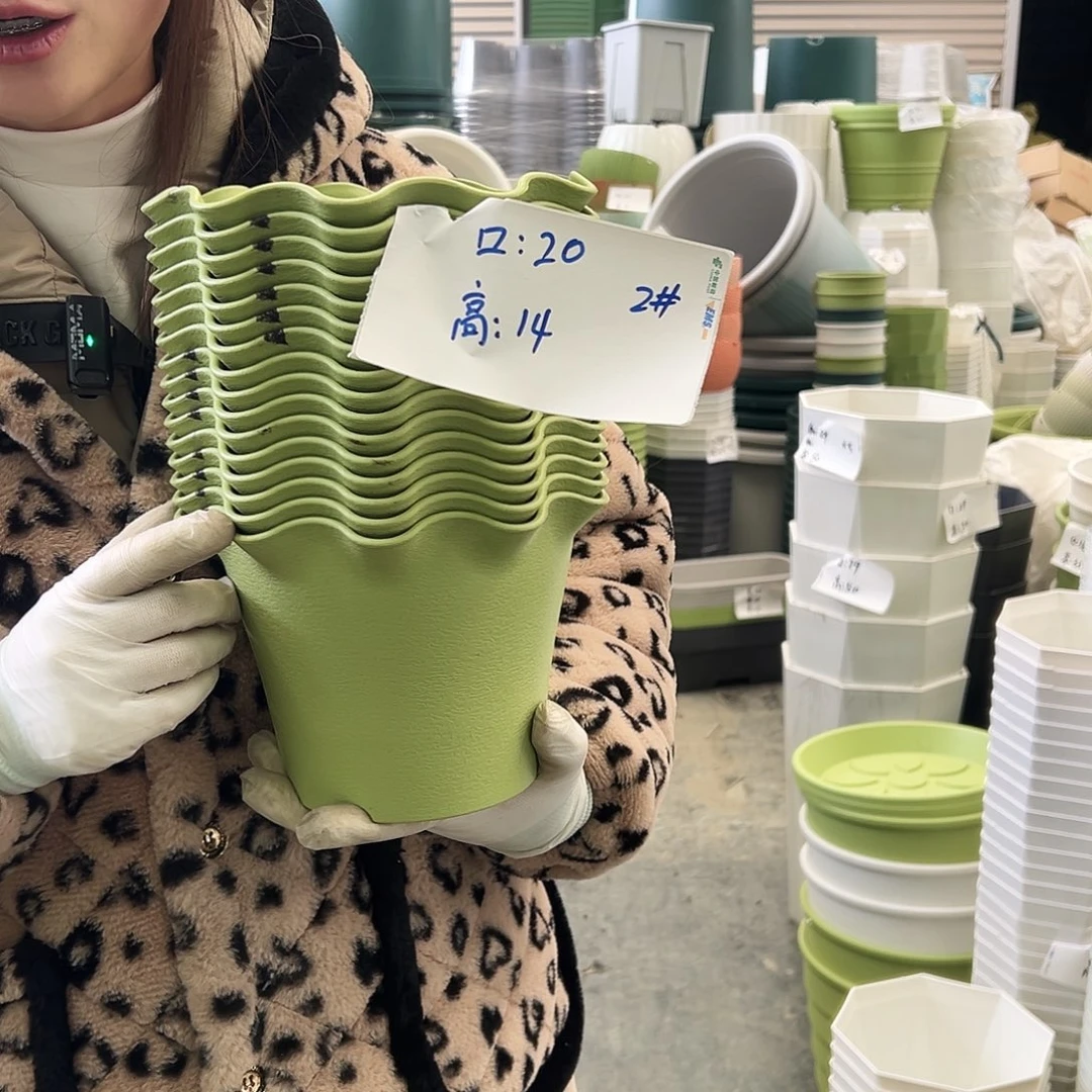 瑕疵荷叶盆2#果绿10个无托