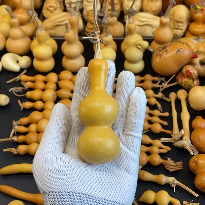 木直播间拍品不退不换