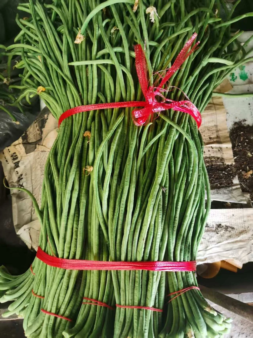 新鲜现摘长豆角当季时令蔬菜脆嫩易熟