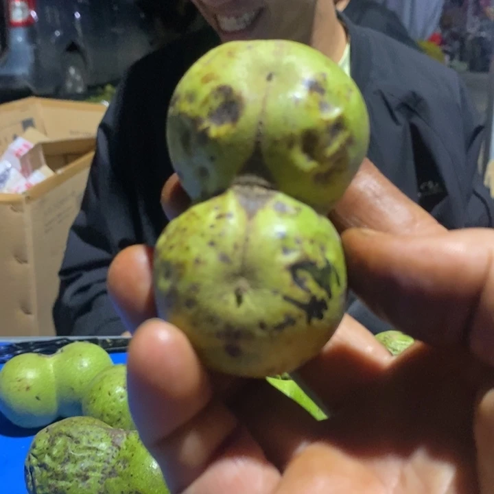 吊坠文玩核桃.****曼