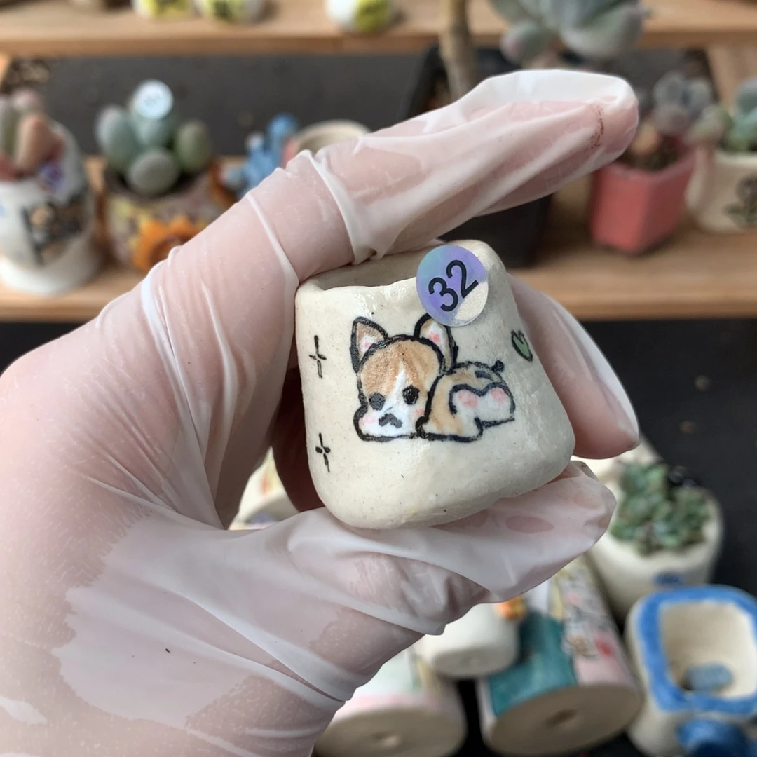 花盆哈哈哈，现在没有32