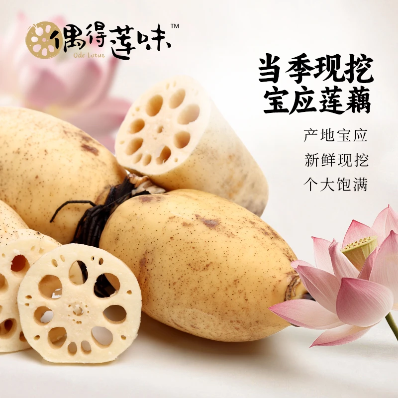 【3斤装】偶得莲味正宗宝应特产宝应莲藕现挖鲜藕