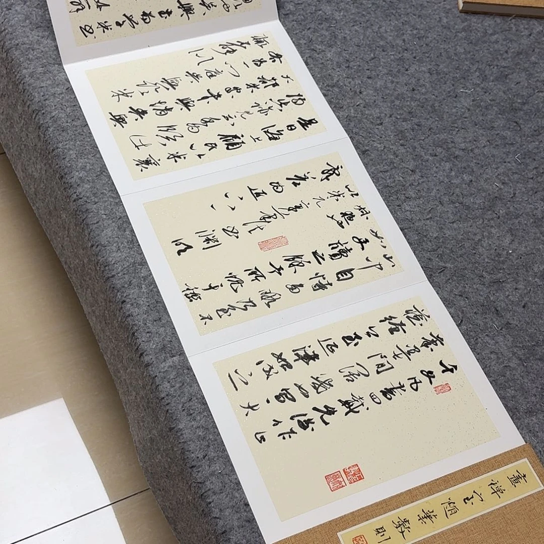 书法国展书家麻春芳350×35