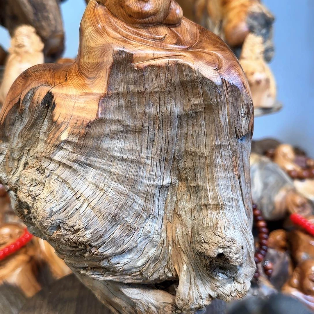 优***爹柏木（崖柏）66666666666