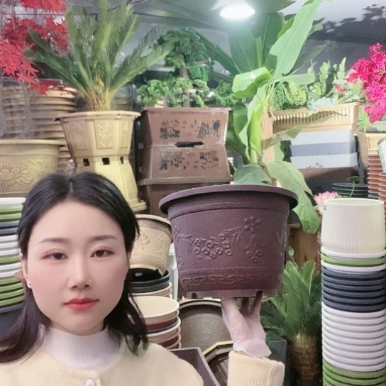 复合梅花30盆4个有孔