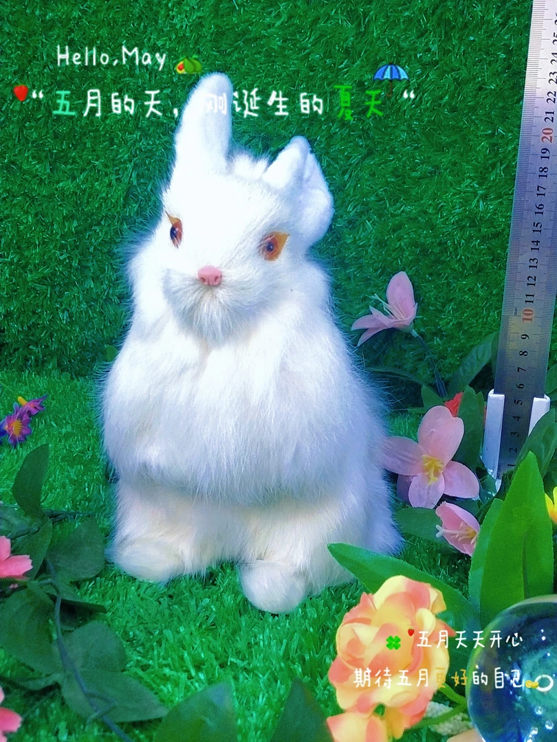 1号兔子 玉兔嫦娥 真兔皮毛纯手工制作摄影教学标本工艺毛绒玩偶