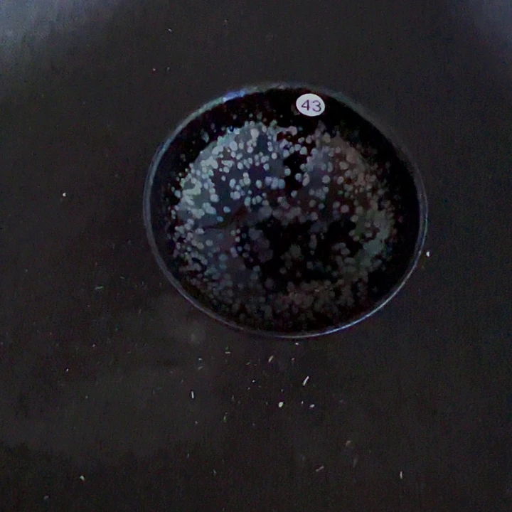 茶盏陈记柴烧建盏43