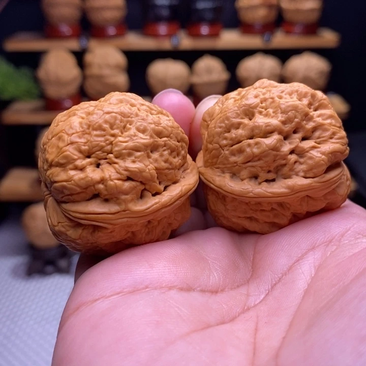 木质类云铁帝王蟾36号