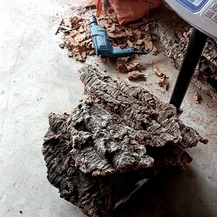 木一物一拍一物一发