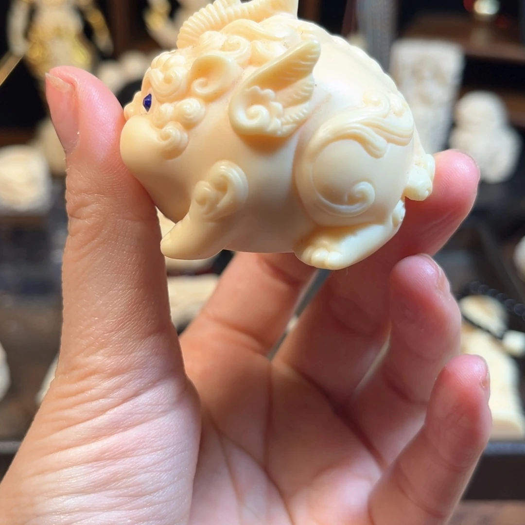 果皮飞天貔貅胖嘟嘟象牙果