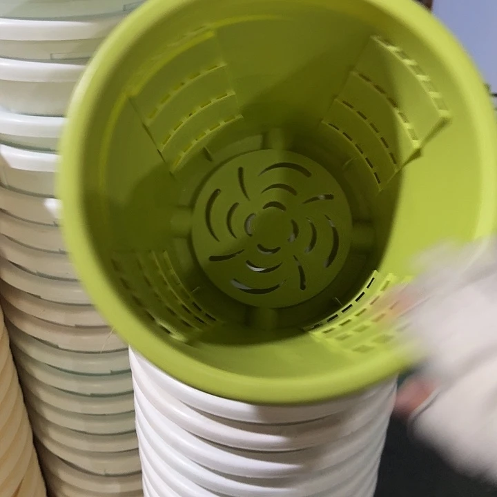 测29口径4个无托果绿