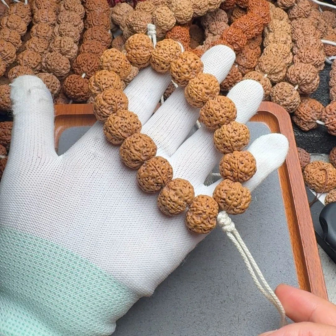 咸***哥菩提菩提16号尼泊尔大金刚19满肉六瓣