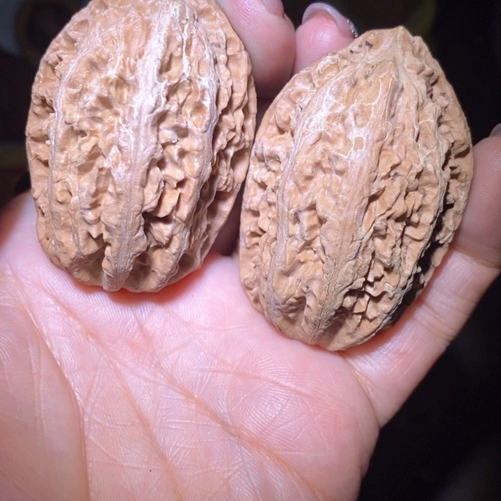 文玩核桃把件东北野生楸子小美5 8