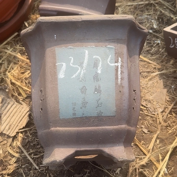 紫砂之光等著名文化艺术精品进行