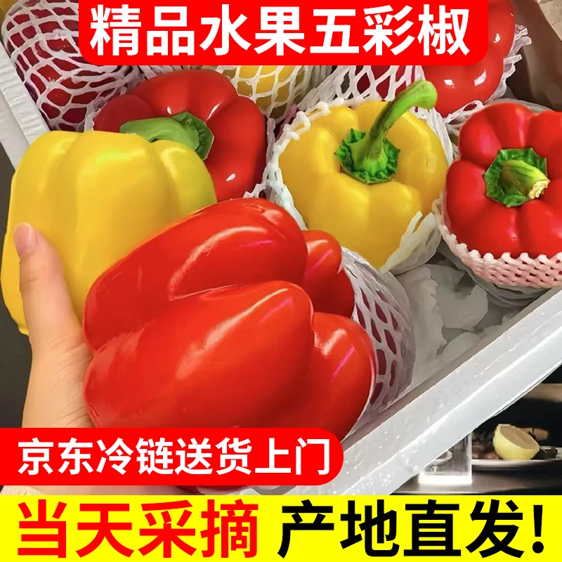 【京东冷链】寿光五彩椒现摘现发新鲜蔬菜应季生吃不辣营养水果
