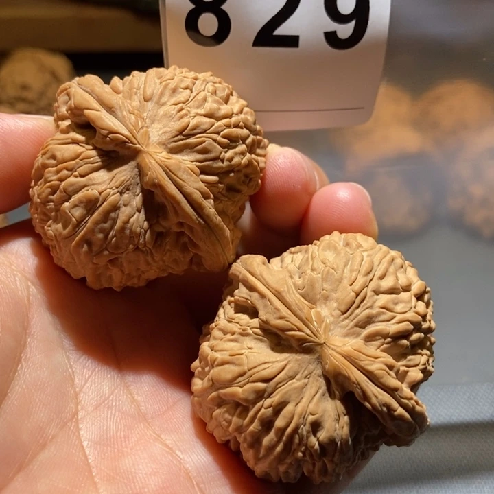 文玩核桃把件白狮子